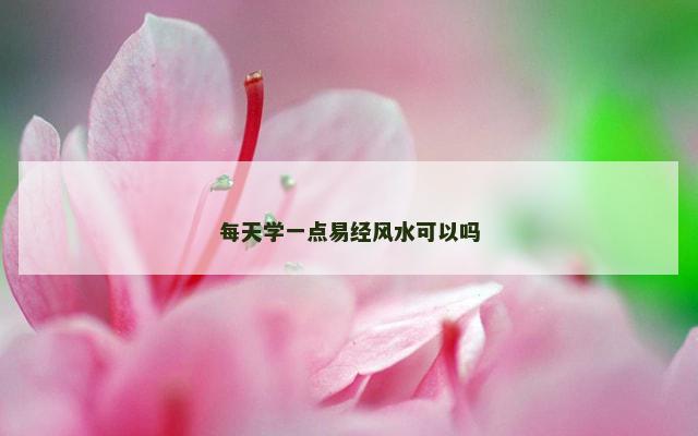 每天学一点易经风水可以吗