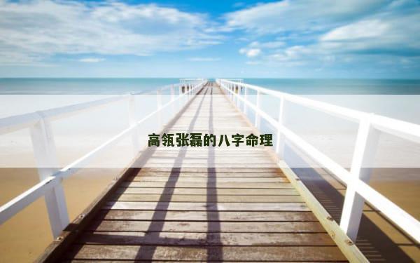 高瓴张磊的八字命理