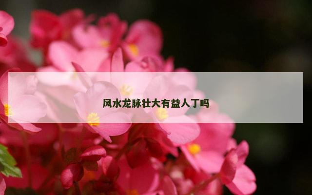 风水龙脉壮大有益人丁吗