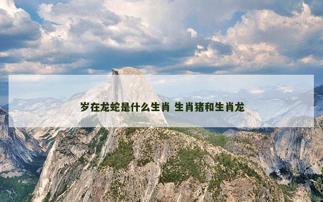 岁在龙蛇是什么生肖 生肖猪和生肖龙
