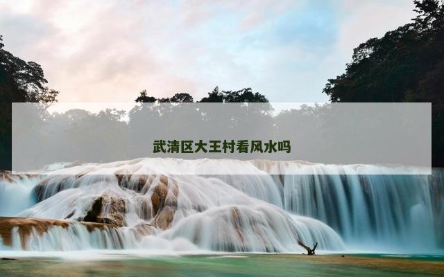 武清区大王村看风水吗