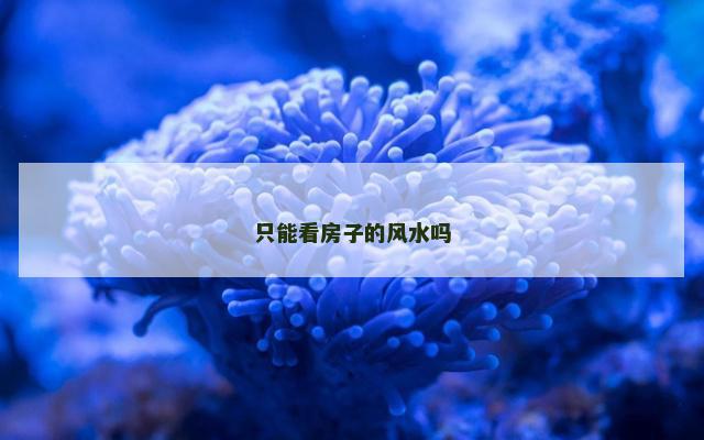 只能看房子的风水吗