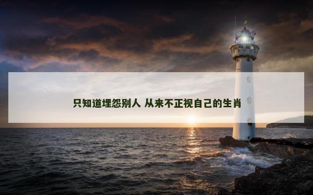 只知道埋怨别人 从来不正视自己的生肖