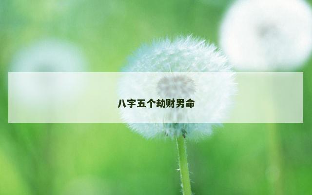 八字五个劫财男命