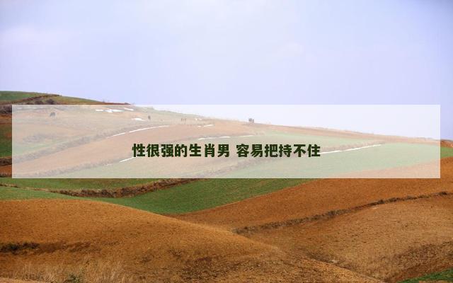 性很强的生肖男 容易把持不住