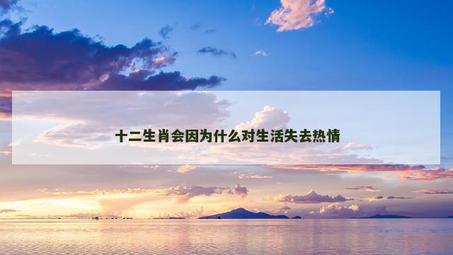 十二生肖会因为什么对生活失去热情