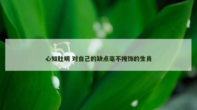 心知肚明 对自己的缺点毫不掩饰的生肖