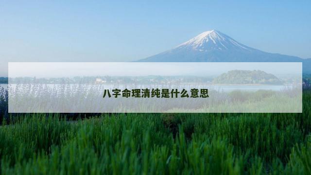 八字命理清纯是什么意思