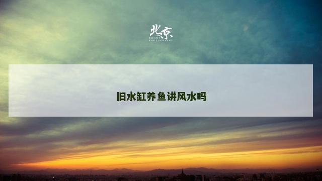旧水缸养鱼讲风水吗