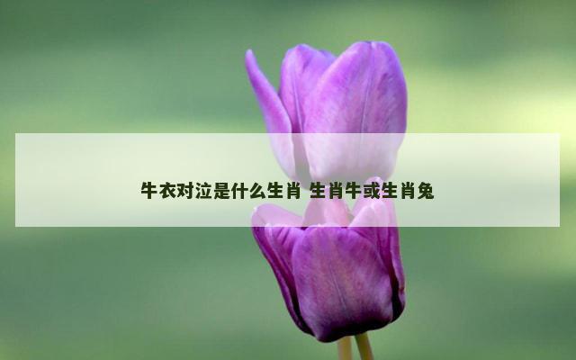 牛衣对泣是什么生肖 生肖牛或生肖兔