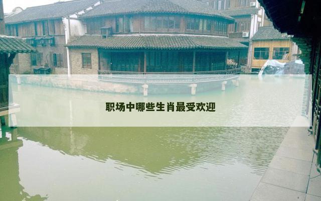 职场中哪些生肖最受欢迎