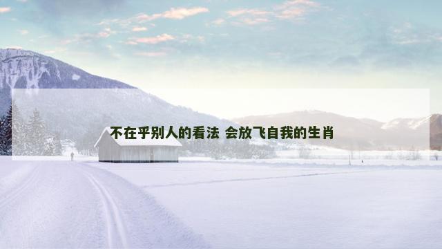 不在乎别人的看法 会放飞自我的生肖