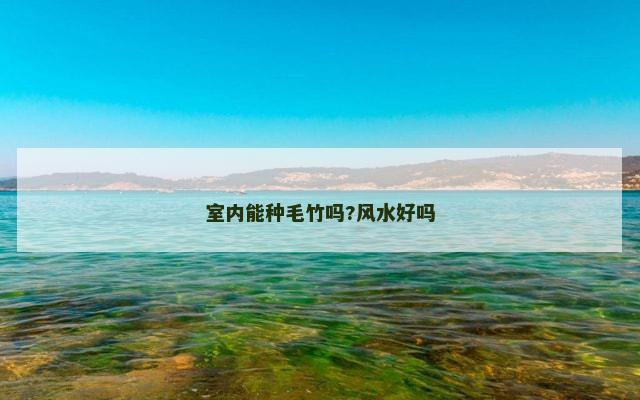 室内能种毛竹吗?风水好吗