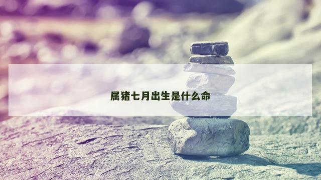 属猪七月出生是什么命