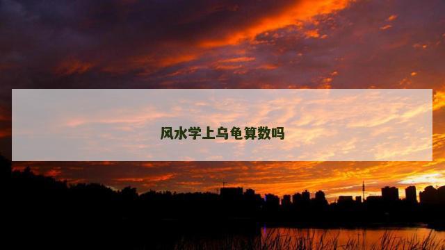 风水学上乌龟算数吗