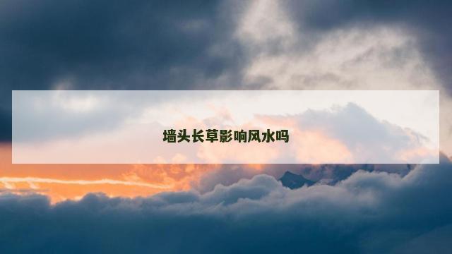 墙头长草影响风水吗