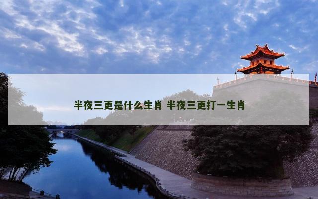 半夜三更是什么生肖 半夜三更打一生肖