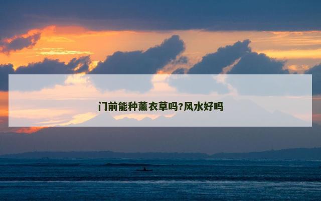 门前能种薰衣草吗?风水好吗