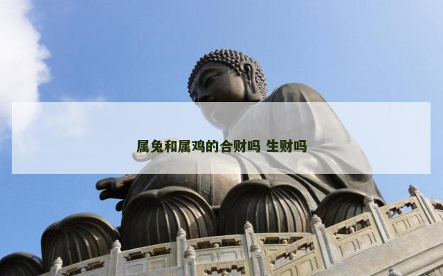属兔和属鸡的合财吗 生财吗