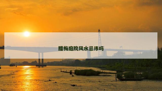 腊梅庭院风水忌讳吗