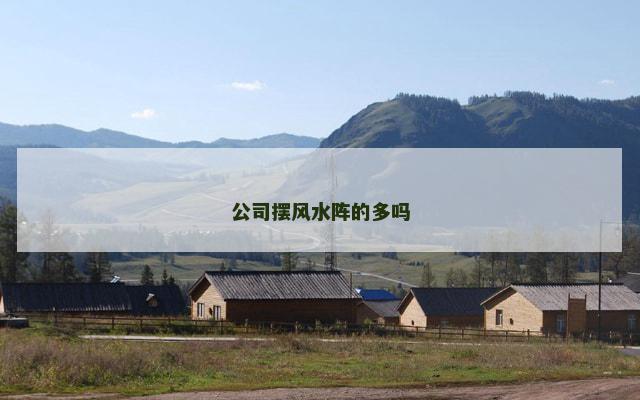 公司摆风水阵的多吗