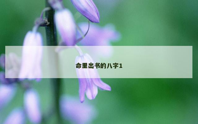 命里出书的八字1