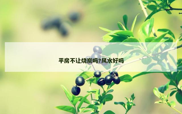 平房不让烧炭吗?风水好吗