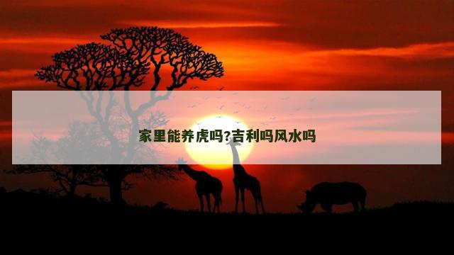 家里能养虎吗?吉利吗风水吗