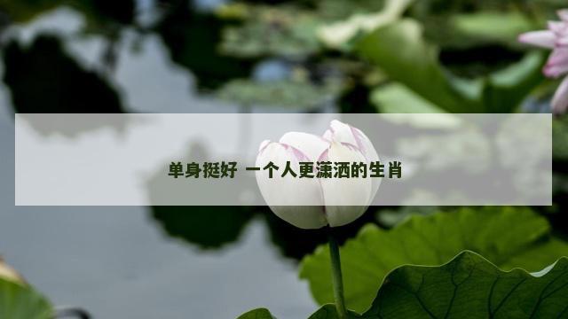 单身挺好 一个人更潇洒的生肖