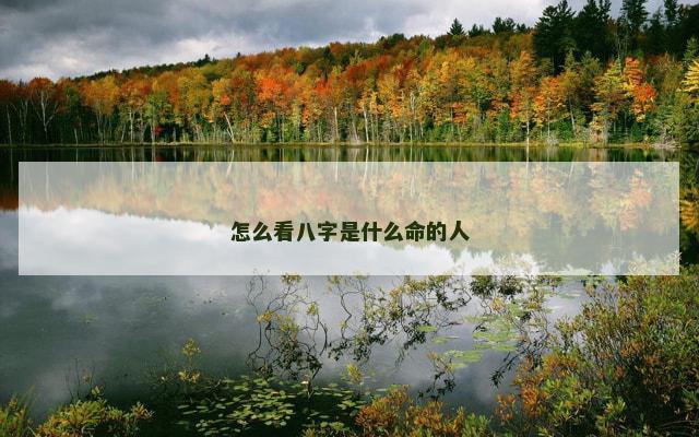 怎么看八字是什么命的人