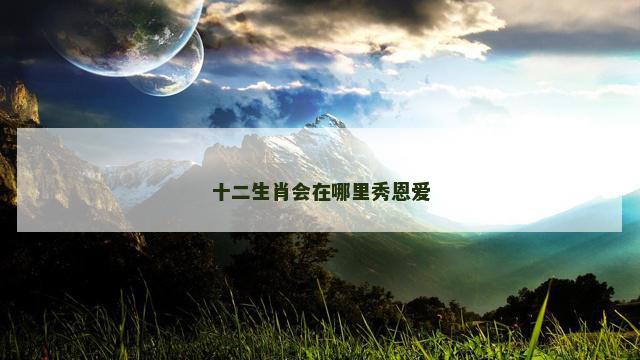 十二生肖会在哪里秀恩爱