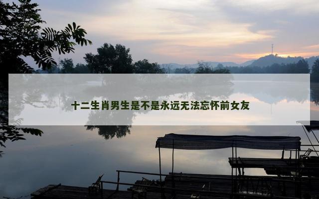 十二生肖男生是不是永远无法忘怀前女友