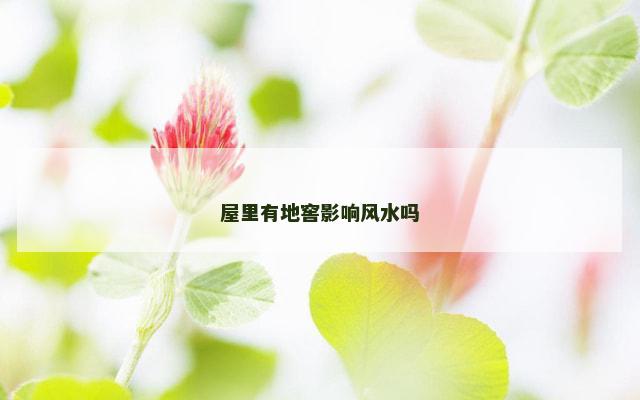 屋里有地窖影响风水吗