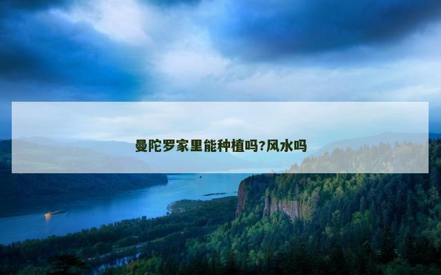 曼陀罗家里能种植吗?风水吗