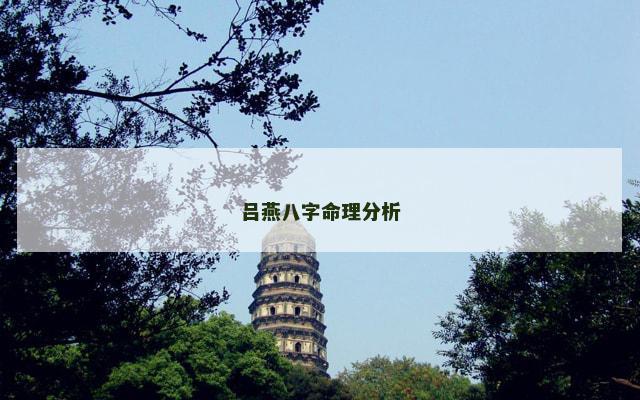 吕燕八字命理分析