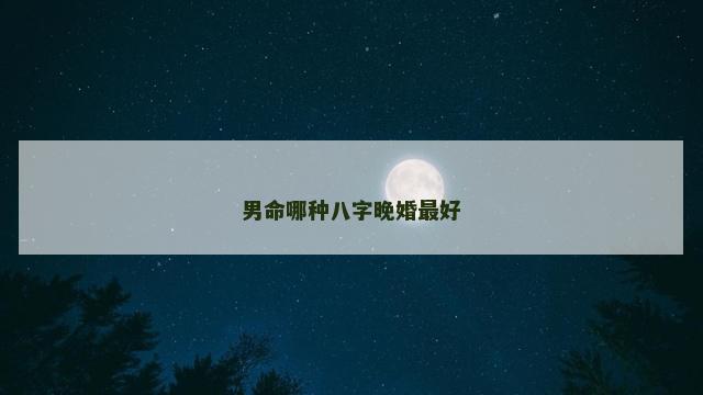 男命哪种八字晚婚最好