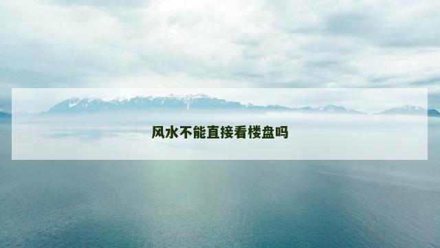 风水不能直接看楼盘吗