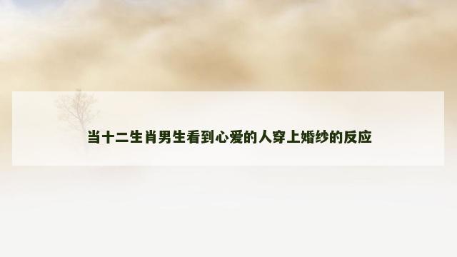 当十二生肖男生看到心爱的人穿上婚纱的反应