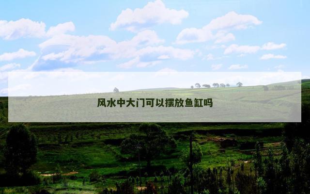 风水中大门可以摆放鱼缸吗