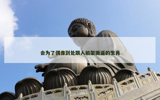 会为了偶像到处跟人掐架撕逼的生肖