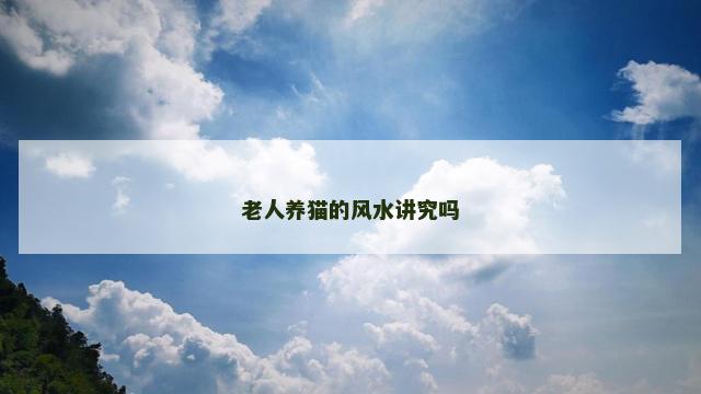老人养猫的风水讲究吗