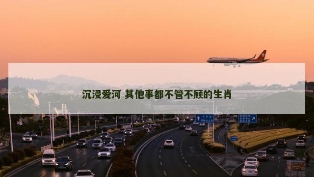 沉浸爱河 其他事都不管不顾的生肖