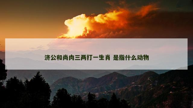 济公和尚肉三两打一生肖 是指什么动物