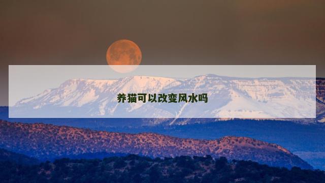 养猫可以改变风水吗