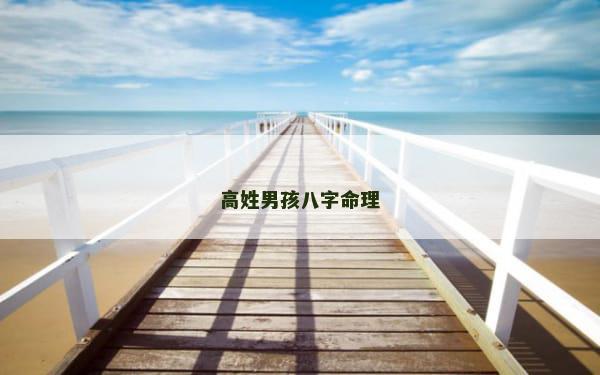 高姓男孩八字命理