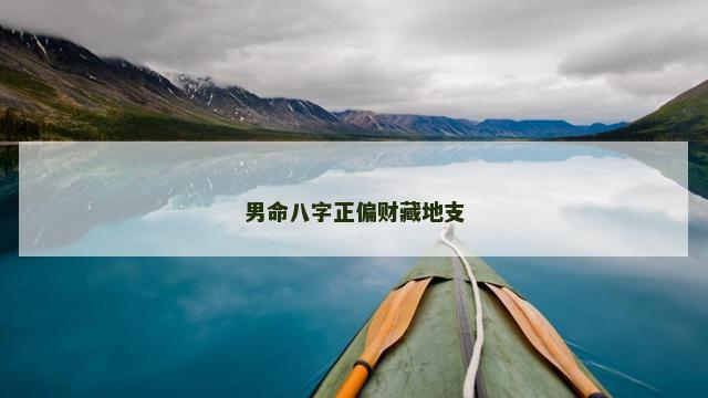 男命八字正偏财藏地支