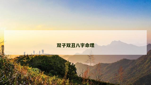 双子双丑八字命理