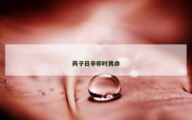 丙子日辛卯时男命