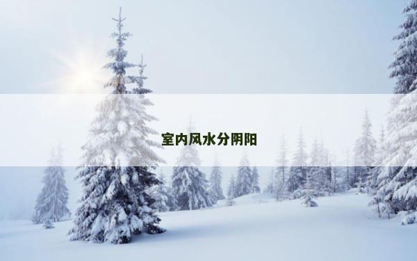 室内风水分阴阳