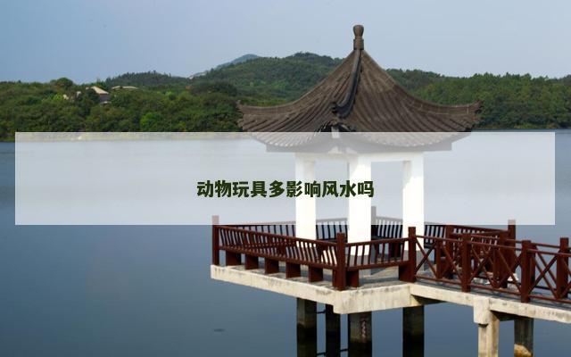 动物玩具多影响风水吗